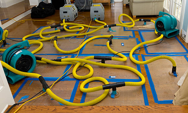 Professional Flood Damage Restoration technician working in Atwood, TN